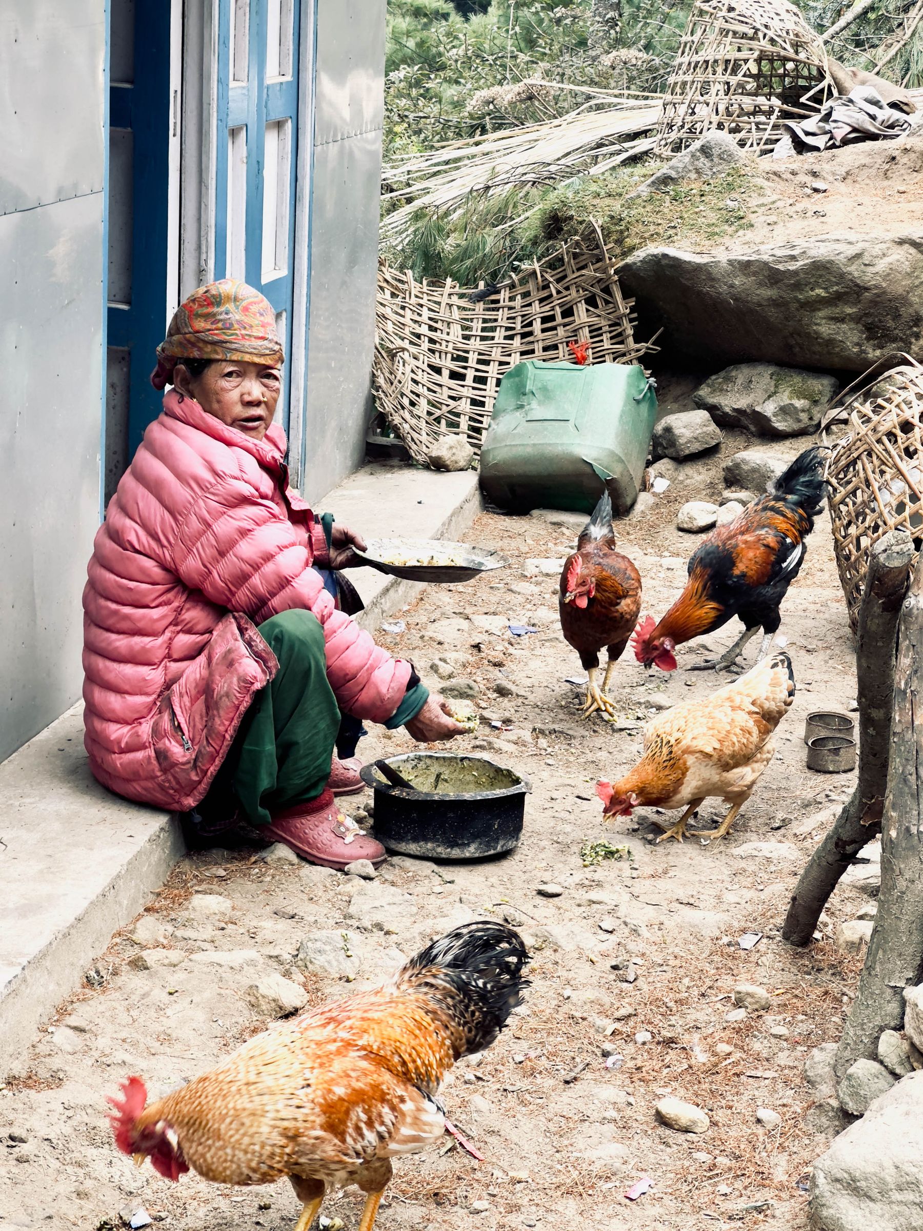 Woman Feeds Chickens